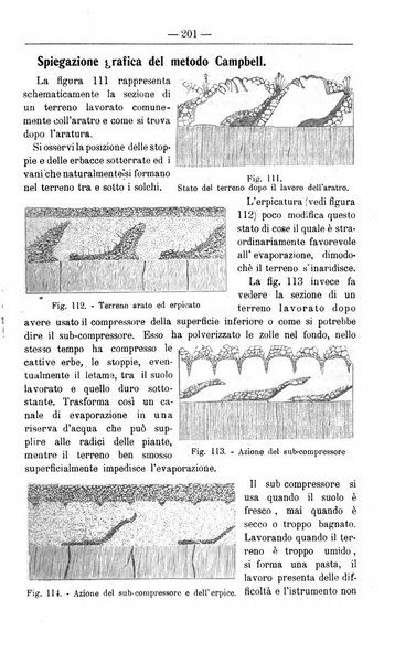 Il coltivatore giornale di agricoltura pratica