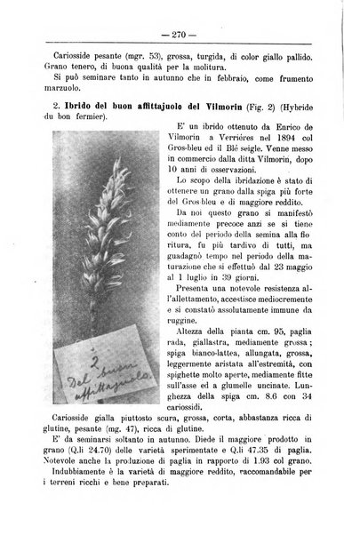 Il coltivatore giornale di agricoltura pratica