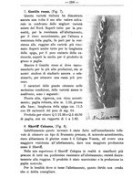 giornale/TO00181640/1911/V.2/00000340