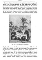 giornale/TO00181640/1911/V.2/00000411