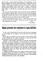 giornale/TO00181640/1911/V.2/00000489