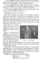 giornale/TO00181640/1911/V.2/00000529