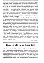 giornale/TO00181640/1911/V.2/00000557