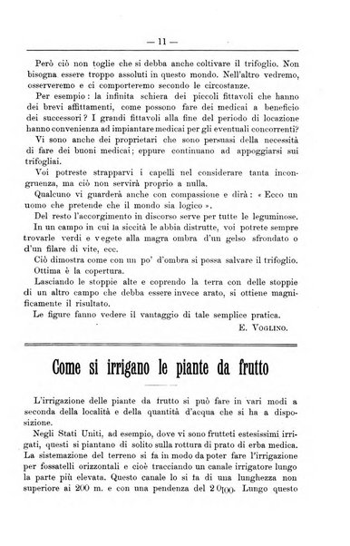 Il coltivatore giornale di agricoltura pratica