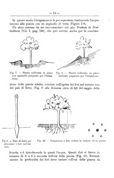 Il coltivatore giornale di agricoltura pratica