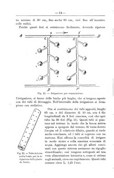 Il coltivatore giornale di agricoltura pratica