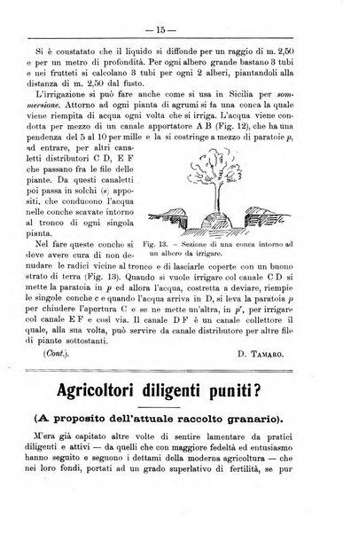 Il coltivatore giornale di agricoltura pratica