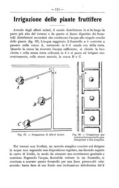 Il coltivatore giornale di agricoltura pratica