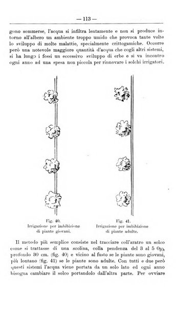 Il coltivatore giornale di agricoltura pratica