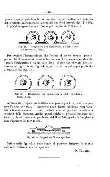 Il coltivatore giornale di agricoltura pratica