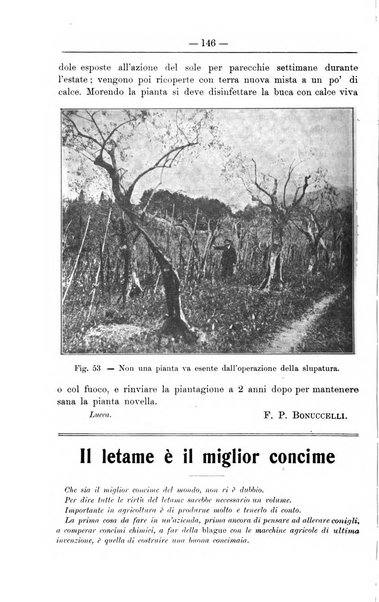 Il coltivatore giornale di agricoltura pratica