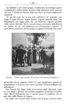 giornale/TO00181640/1912/V.2/00000223