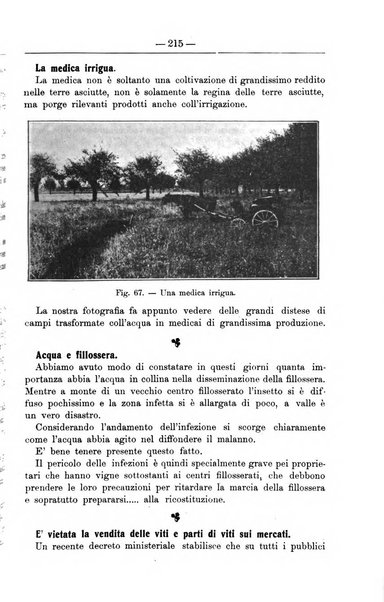 Il coltivatore giornale di agricoltura pratica