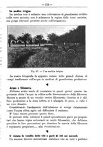 giornale/TO00181640/1912/V.2/00000237