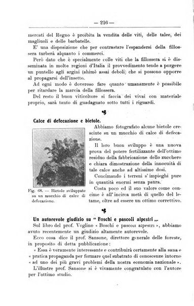 Il coltivatore giornale di agricoltura pratica