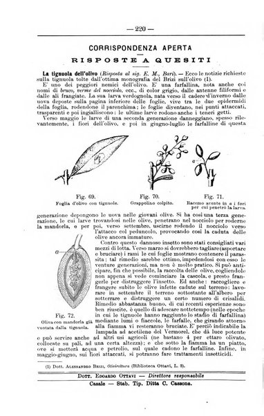 Il coltivatore giornale di agricoltura pratica