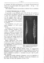 giornale/TO00181640/1912/V.2/00000347