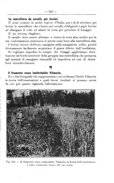 Il coltivatore giornale di agricoltura pratica