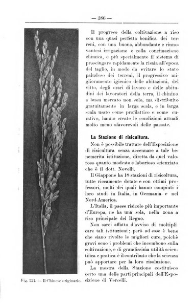 Il coltivatore giornale di agricoltura pratica