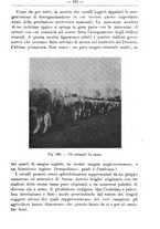 giornale/TO00181640/1912/V.2/00000481