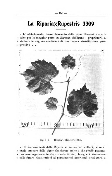 Il coltivatore giornale di agricoltura pratica