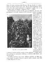 giornale/TO00181640/1912/V.2/00000516