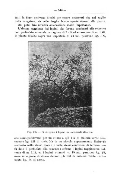 Il coltivatore giornale di agricoltura pratica