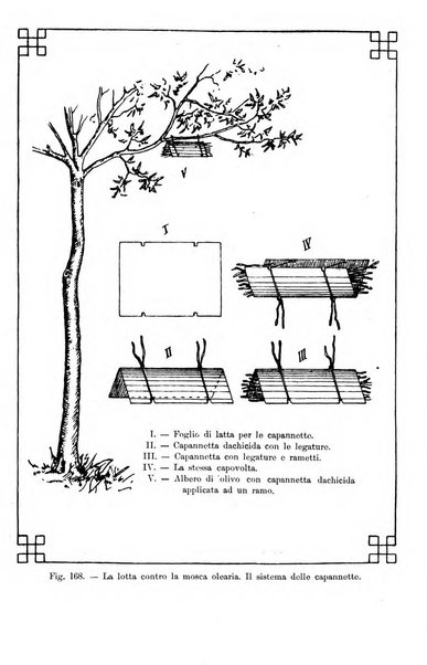 Il coltivatore giornale di agricoltura pratica