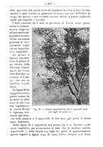 giornale/TO00181640/1913/V.2/00000251