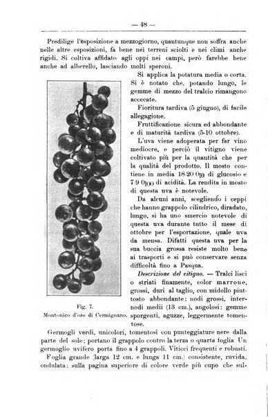 Il coltivatore giornale di agricoltura pratica