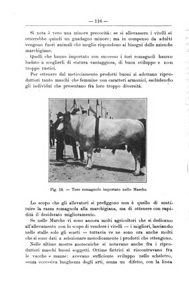 Il coltivatore giornale di agricoltura pratica