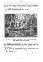 giornale/TO00181640/1914/V.1/00000207