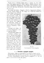 giornale/TO00181640/1914/V.1/00000246