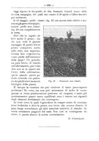 giornale/TO00181640/1914/V.1/00000281