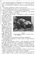 giornale/TO00181640/1914/V.1/00000441