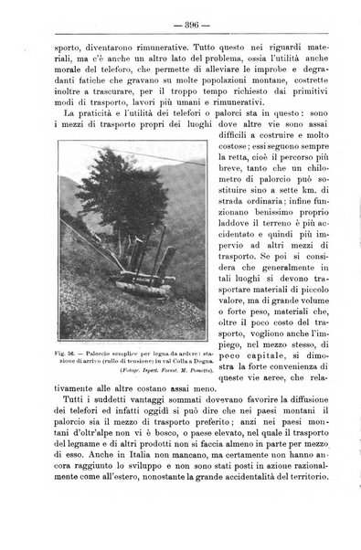 Il coltivatore giornale di agricoltura pratica