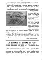 giornale/TO00181640/1916/V.2/00000026
