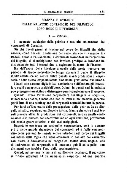 Il coltivatore cuneese bollettino del Comizio agrario circondariale di Cuneo