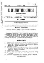 giornale/TO00181643/1890/unico/00000105