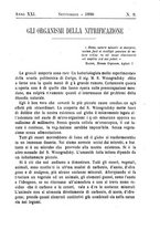 giornale/TO00181643/1890/unico/00000147