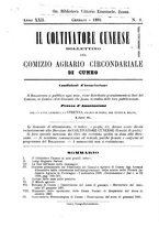 giornale/TO00181643/1891/unico/00000003