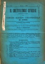 giornale/TO00181643/1891/unico/00000043