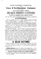 giornale/TO00181643/1891/unico/00000061