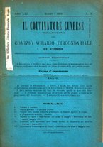 giornale/TO00181643/1891/unico/00000083