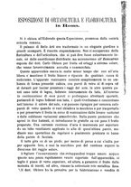 giornale/TO00181643/1891/unico/00000104