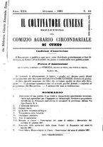 giornale/TO00181643/1891/unico/00000183