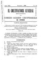 giornale/TO00181643/1891/unico/00000223