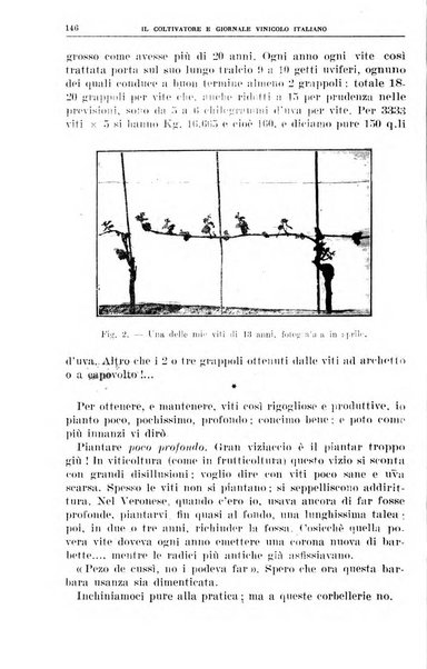 Il coltivatore e giornale vinicolo italiano