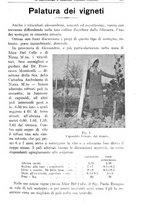 giornale/TO00181645/1932/unico/00000343