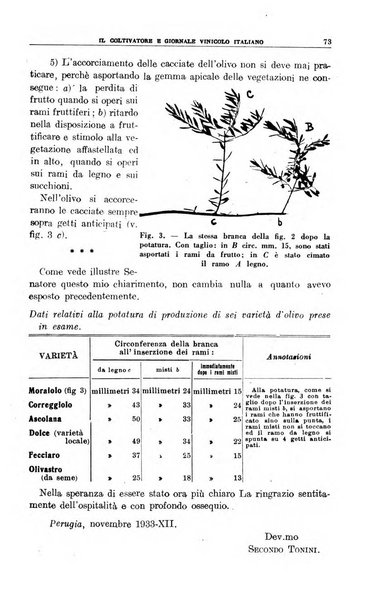 Il coltivatore e giornale vinicolo italiano